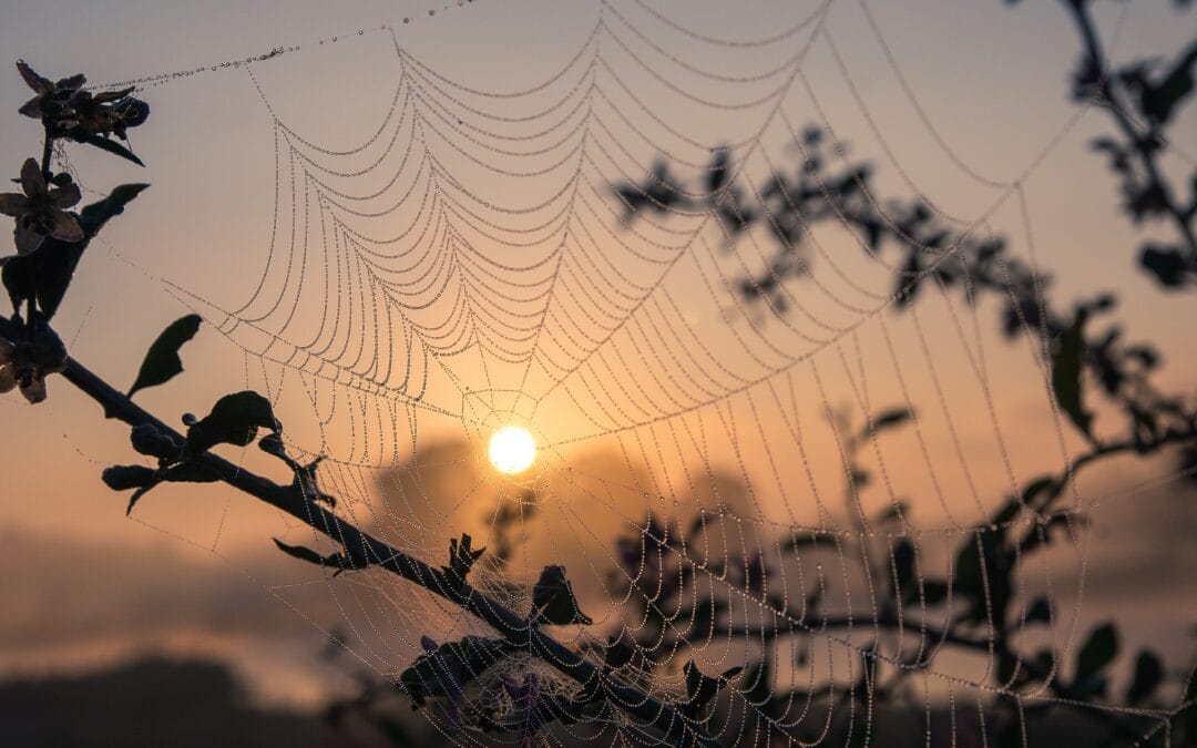 Herfstequinox, Aandacht voor Balans