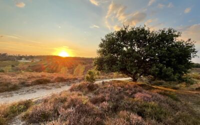 Chaos op Weg naar de Herfst Equinox