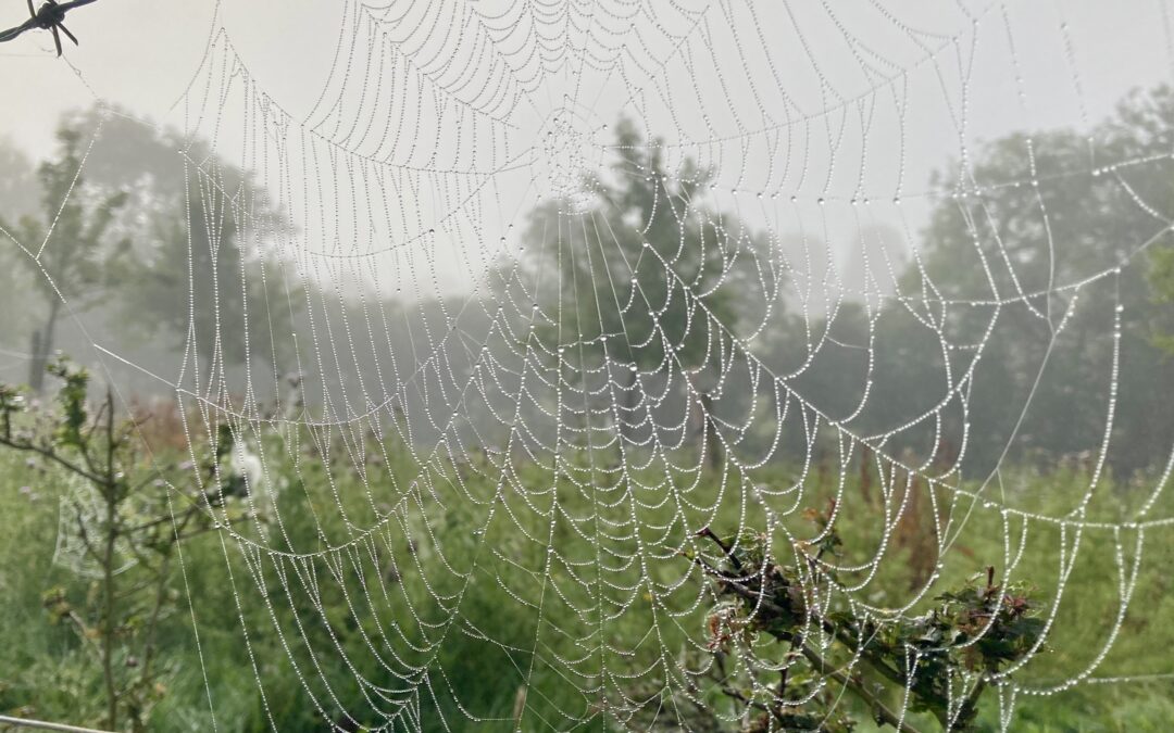 Hoe beweeg jij mee met de seizoenen?